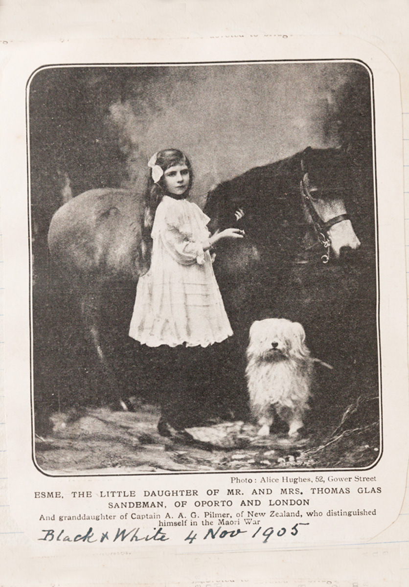 Cecília Sandeman | Quinta do Valdalágea